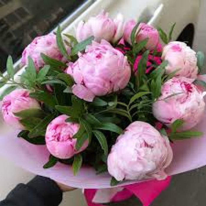 Пион древовидный в Таразе