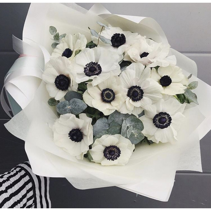 Анемоны в Таразе