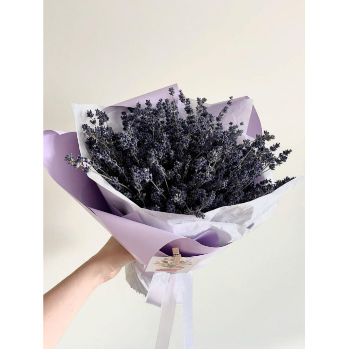 Лаванда в Таразе