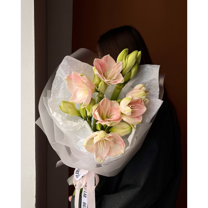 Амариллис в Таразе