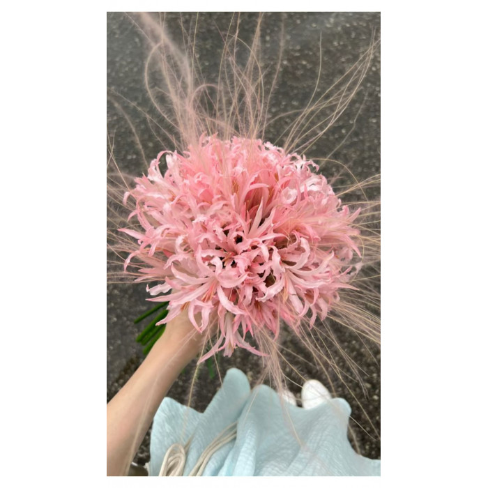 Нерине в Таразе