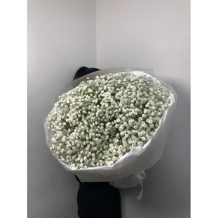 Гипсофила классическая в Таразе