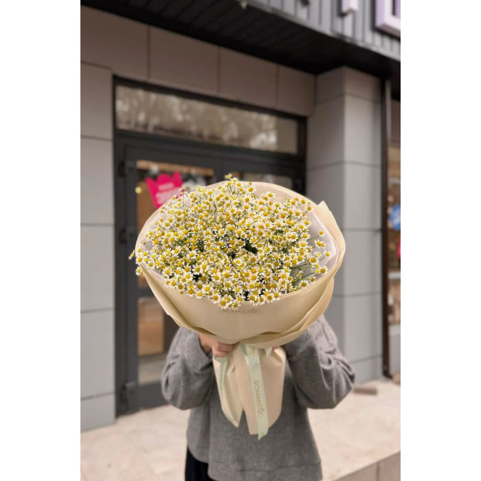 Танацетум в Таразе