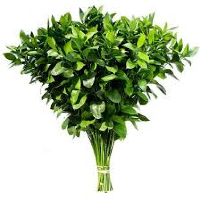 Рускус в Таразе